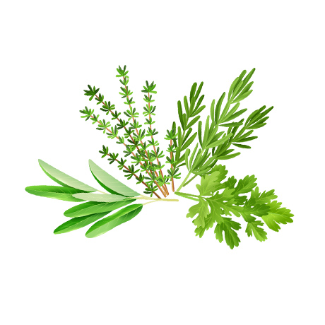 ドッグフード 原材料 ハーブ(タイム、ローズマリー、オレガノ、パセリ、セージ)